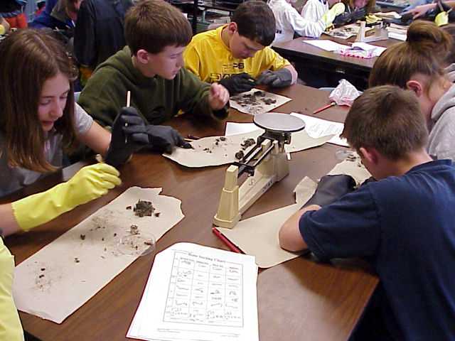 A group of students, busy dissecting.
