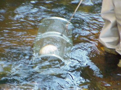 Fish trap in the water.