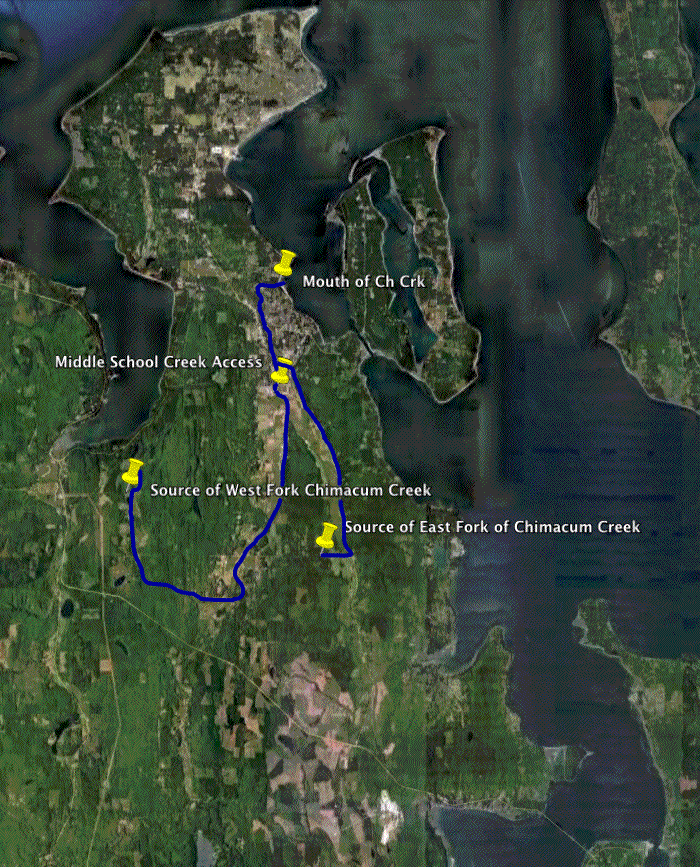 Chimacum Creek, both Forks and Mouth.