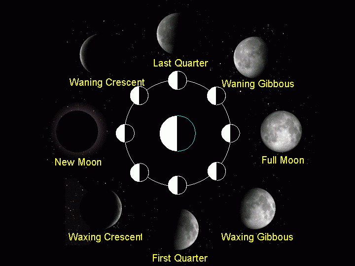 Moon phases with actual moons.