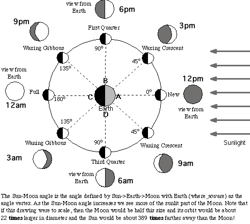 Moon phases & times.