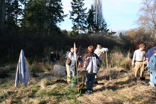 Tree planting.