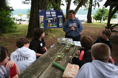 Learning about tunicates.