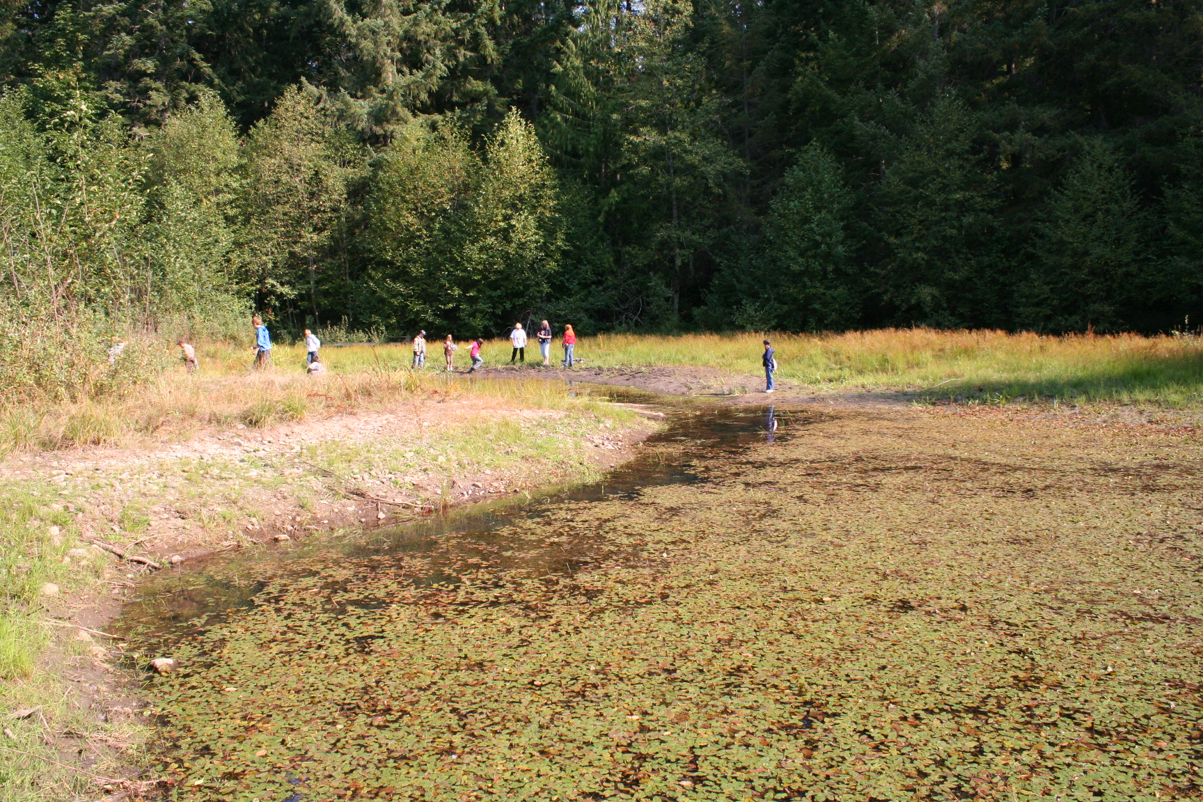 Pond 2008