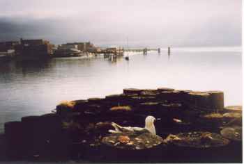 Port Townsend's Waterfront