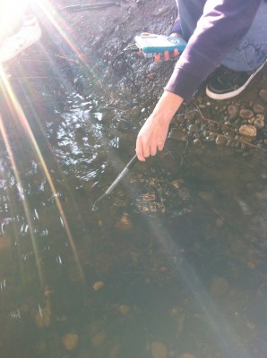 Testing creek water with a probe.