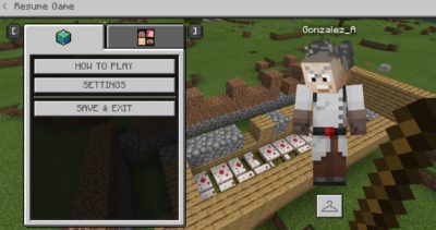 A screenshot of Mr. G starting a Minecraft world for the students.