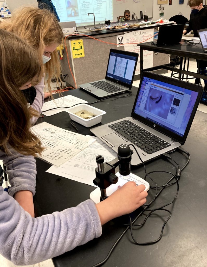 Kids identifying macros using digital microscopes.