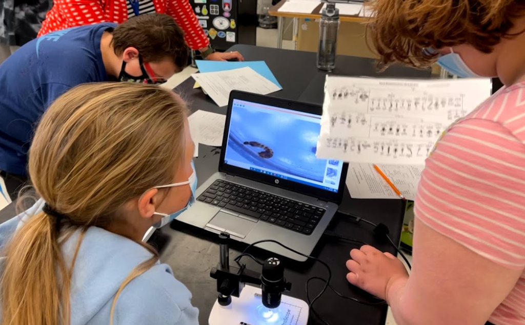 Kids identifying macros using digital microscopes.